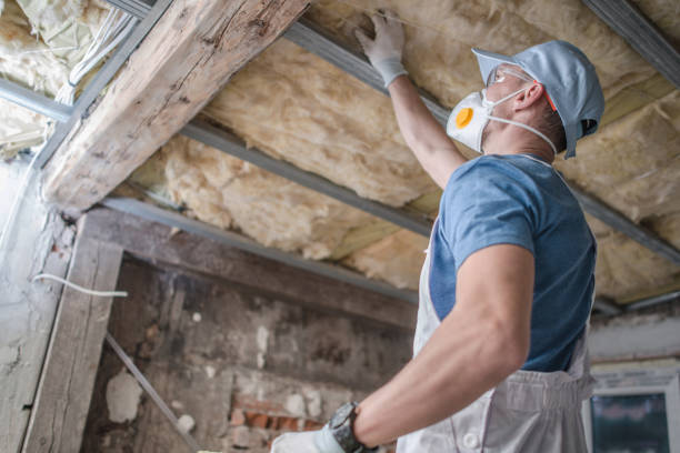 Best Attic Insulation Installation  in Oregon, IL